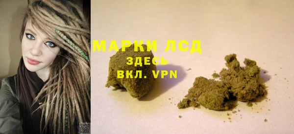 гидра Слюдянка