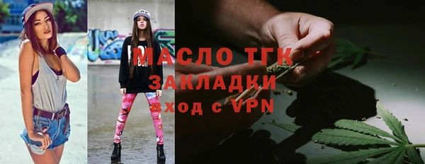 сатива Беломорск