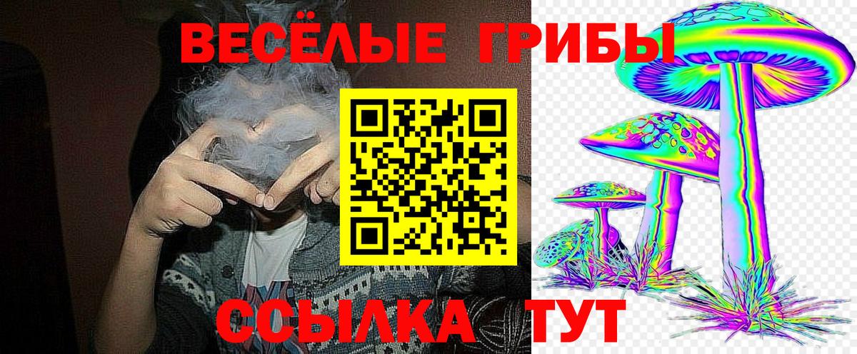 Псилоцибиновые грибы GOLDEN TEACHER  купить закладку  Кунгур  Вход с VPN  Галлюциногенные грибы Psilocybine cubensis 