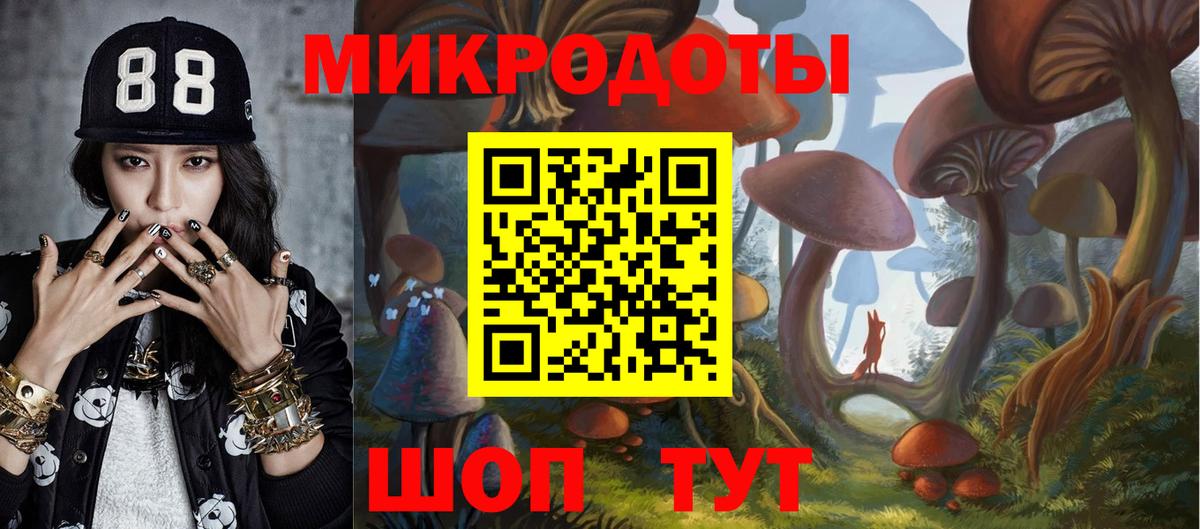 Псилоцибиновые грибы MAGIC MUSHROOMS Кунгур
