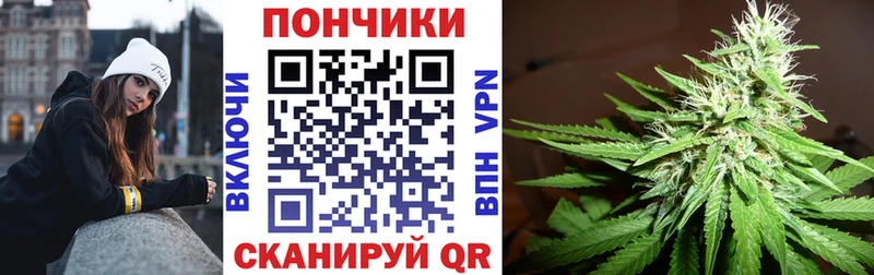 закладки  Кунгур  Канабис White Widow 